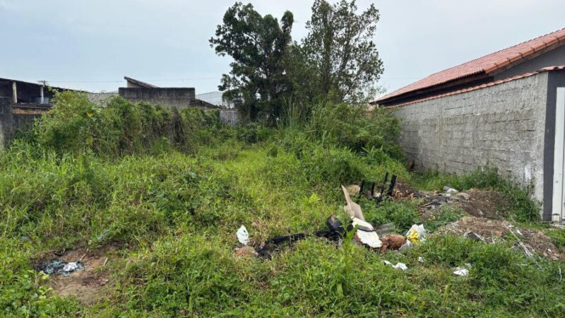 Nova regra municipal exige limpeza de terrenos para evitar doenças em Mongaguá