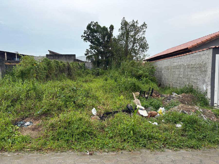 Nova regra municipal exige limpeza de terrenos para evitar doenças em Mongaguá
