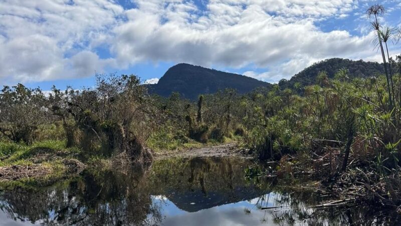Desobstrução do Rio Aguapeú já melhora a drenagem em Mongaguá