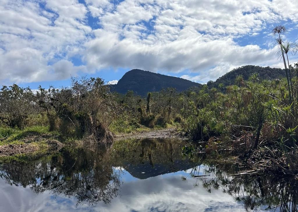 Desobstrução do Rio Aguapeú já melhora a drenagem em Mongaguá