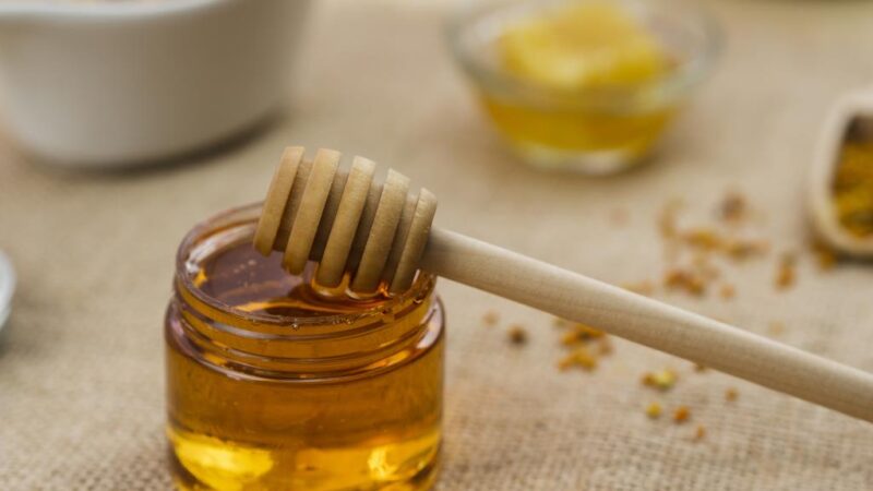 Mongaguá oferece oficina gratuita sobre produtos de mel e cosméticos naturais