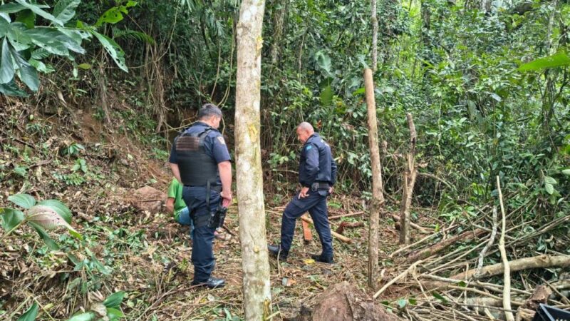 Fiscalização encontra desmatamento em área protegida no Jardim Praia Grande