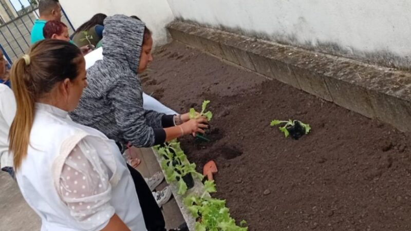 Usuários do CAPS de Mongaguá passam a cuidar de horta terapêutica
