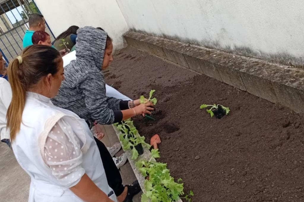 Usuários do CAPS de Mongaguá passam a cuidar de horta terapêutica