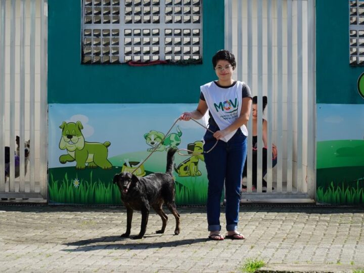 Feira em Mongaguá reúne adoção de animais, passeios e emissão de RG Pet
