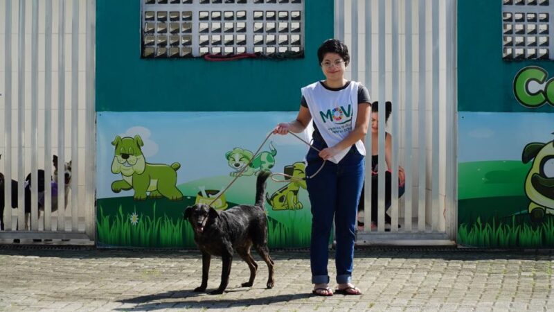 Feira em Mongaguá reúne adoção de animais, passeios e emissão de RG Pet