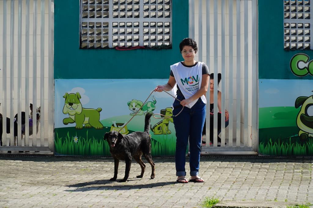 Feira em Mongaguá reúne adoção de animais, passeios e emissão de RG Pet