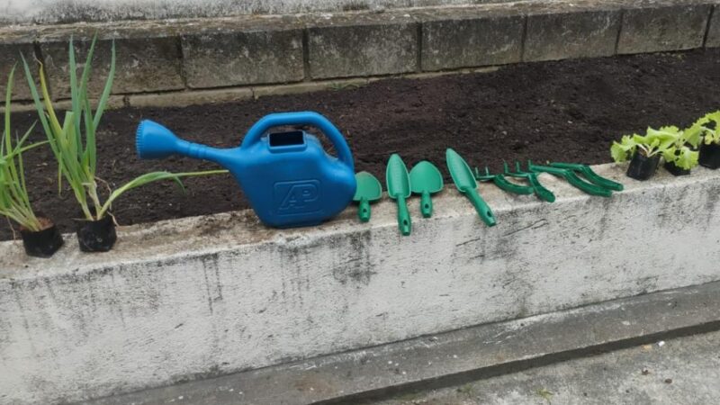 CAPS de Mongaguá passa a contar com horta terapêutica feita pelos usuários